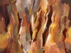 driegratieen100x110-copy