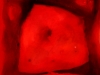 T.02