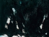 jan-aanstoot-o-15
