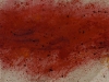 o-o-14b